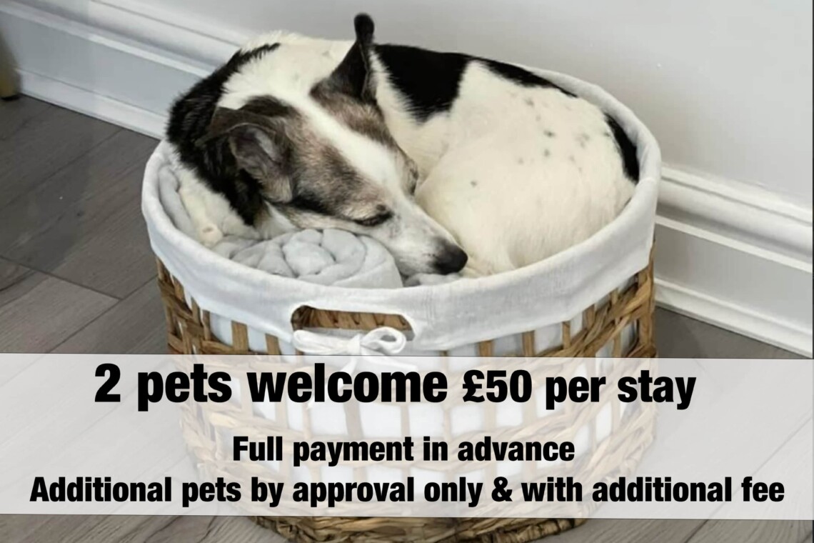 2 Pets welcome with a £50 fee. Additional Pets by approval only with additional fee.