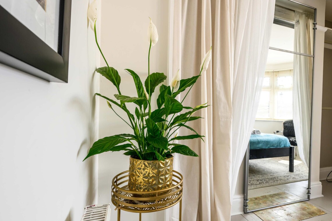The living room is bright and airy