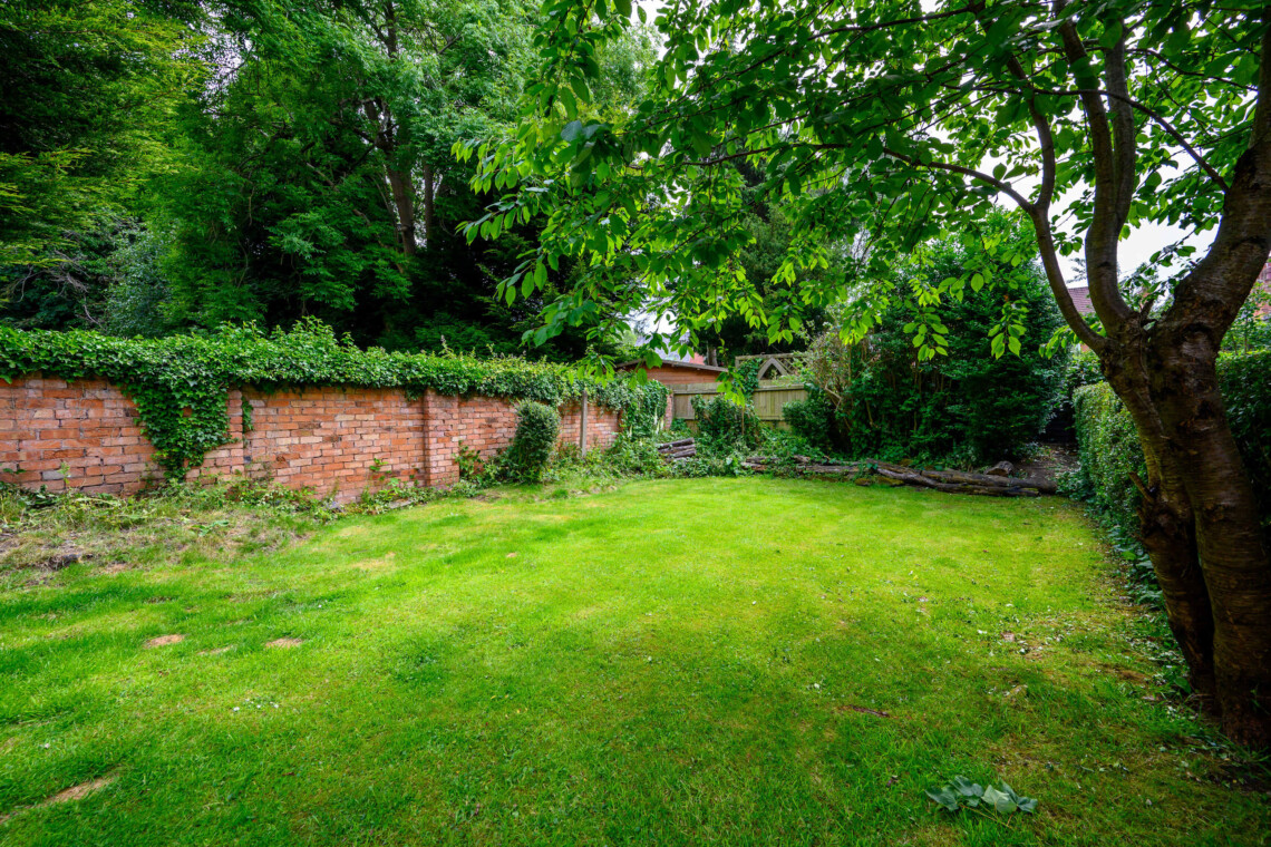 shaed garden