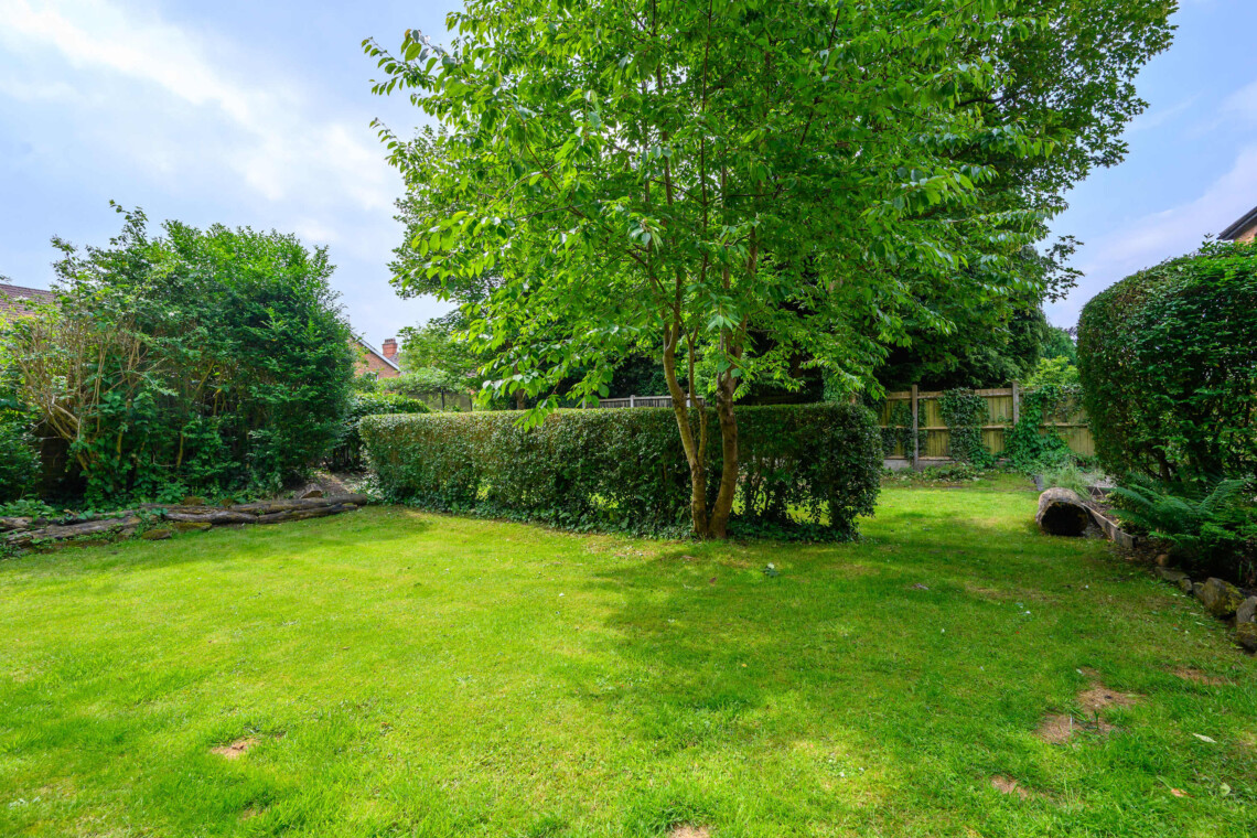 Shared garden
