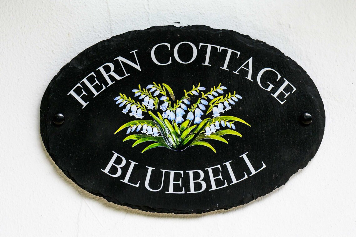 Bluebell 