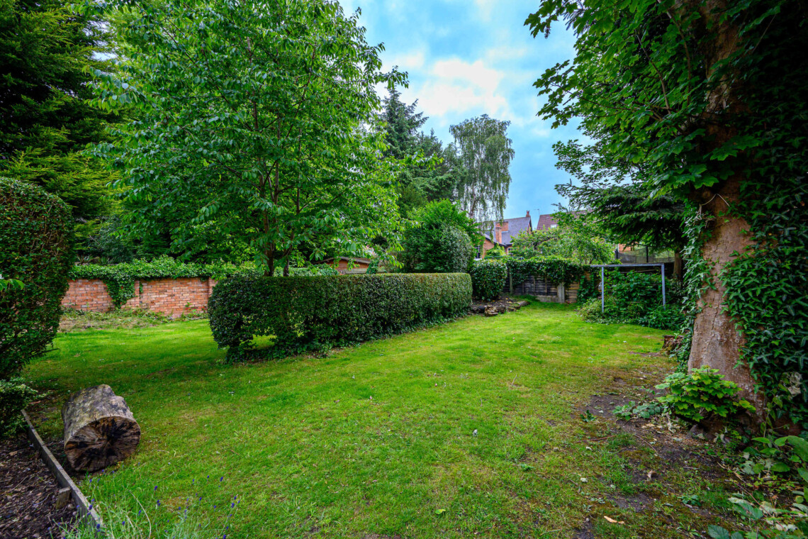 Beautiful shared garden 