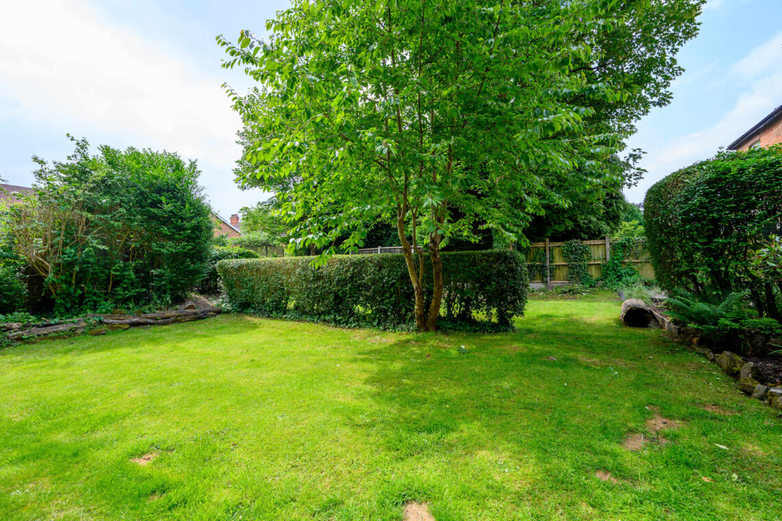 Shared garden area